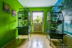 Gute Lage, schöner Garten: L-förmiger Bungalow in Massivbauweise auf großzügigem Grundstück! – Tiefenthaler Straße 29, 67269 Bad Dürkheim (Kreis) – Vorschaubild 29