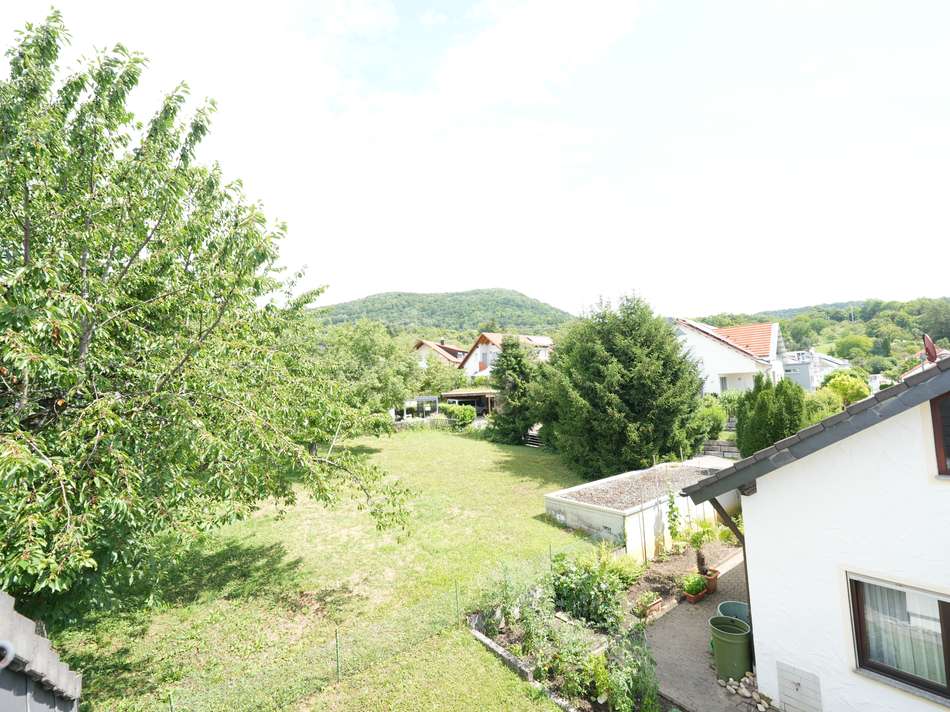 DSC02566