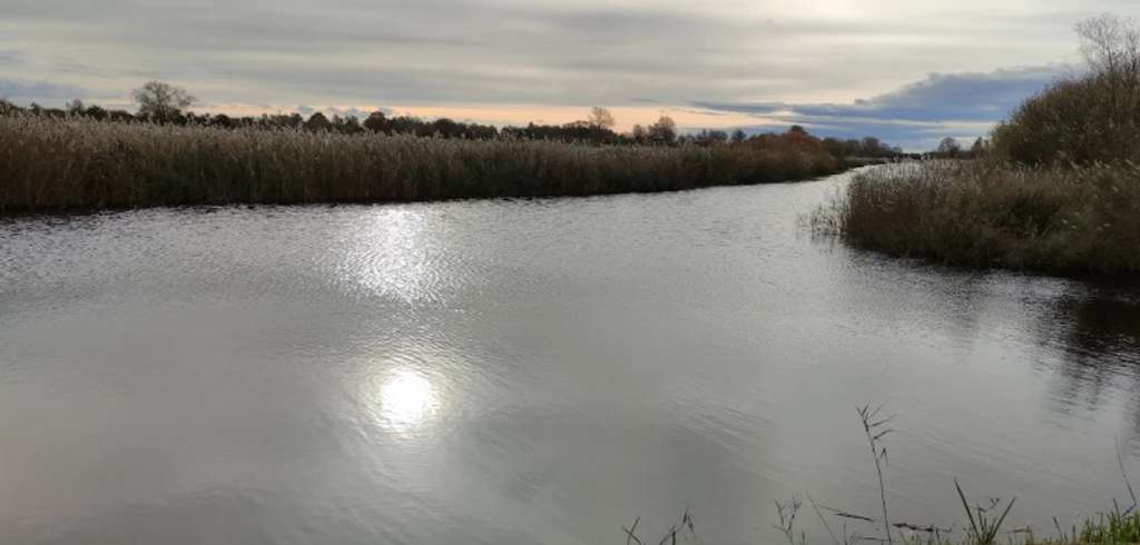 Immobilie in Oldenburg in Holstein - Kaufen statt Miete - Bild 2