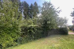 Bad Wimpfen, Nähe Friedhof, großes Grundstück, älteres renovierungsbedürftiges EFH – Rappenauerstraße 39, 74206 Heilbronn (Kreis) – Vorschaubild 50