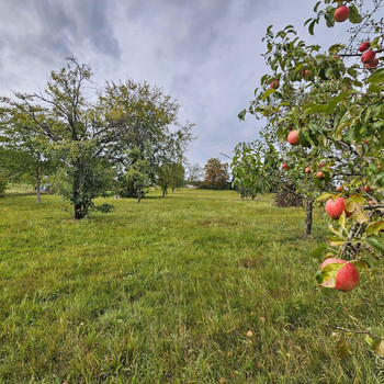 !! Landidylle pur !!