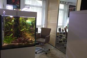 Property thumbnail 14