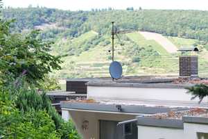 Oberste Hanglage mit Weitblick und Waldzugang: Repräsentatives freistehendes EFH – Mainz-Bingen (Kreis) – Vorschaubild 22