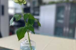 Property thumbnail 15