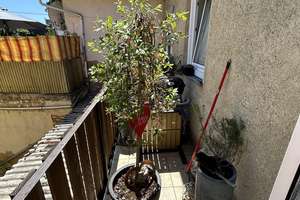 Großzügige 3-Zimmer-Wohnung mit Balkon - zentral in Lauingen – 89415 Lauingen (Donau) – Vorschaubild 2
