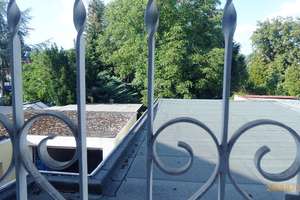 + Darmstadt-Arheilgen mit großem Gartenparadies - Freistehend mit Garagen und großem Garten + – Die vollständige Adresse der Immobilie erhältst du vom Anbieter., 64293 Darmstadt-Nord, Darmstadt – Vorschaubild 20