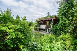 Viel Platz für Gartenliebhaber und Kinder - Wohnen auf einer Ebene! – Enzkreis – Vorschaubild 11