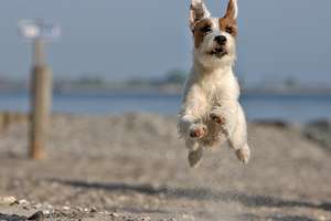 Property thumbnail 12