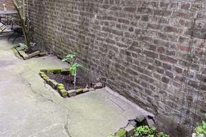 Wunderschöne Einzimmerwohnung: Hochbett, Küche und Wannenbad. Altbau mit Gartennutzung. – Hacketäuerstrasse 68, 51063 Mülheim (Ortsteil), Köln – Vorschaubild 28