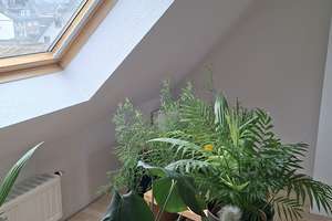 Maisonette Wohnung mit Balkon und Garten in Bottrop Grafenwald
Provisionsfrei von Eigentümer – Die vollständige Adresse der Immobilie erhältst du vom Anbieter., 46244 Grafenwald, Bottrop – Vorschaubild 18