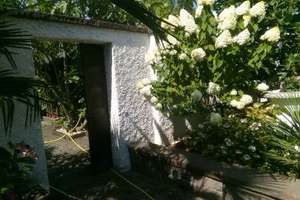 ROHDIAMANT MIT GARTEN-PARADIES IN RUHIGLAGE ZWISCHEN KÖLN + BONN – Die vollständige Adresse der Immobilie erhältst du vom Anbieter., 50389 Wesseling – Vorschaubild 17