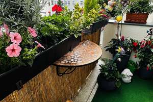 Property thumbnail 14