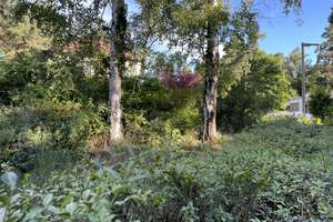 Erlangen-Burgberg: Nachhaltiges Villenprojekt in exklusiver Lage – Die vollständige Adresse der Immobilie erhältst du vom Anbieter., 91054 Burgberg, Erlangen – Vorschaubild 2