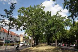 Hervorragende Kapitalanlage in ruhiger Umgebung - Zehlendorf – Die vollständige Adresse der Immobilie erhältst du vom Anbieter., 14169 Zehlendorf, Berlin – Vorschaubild 6