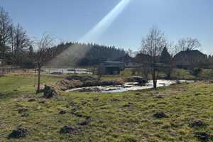 Gepflegter Bungalow mit 1 ha großem Grundstück zentral auf Rügen  – Rügen (Kreis) – Vorschaubild 29