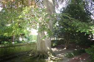Prachtvolle Stadtvilla in 1a Lage Cuxhavens. – Schillerstr. 17, 27472 Cuxhaven (Kreis) – Vorschaubild 14