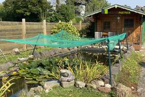 Gemütliches Einfamilienhaus mit gepflegtem Garten in Stolberg-Gressenich – Aachen (Kreis) – Vorschaubild 17