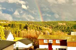 Schönecker Raumwunder mit traumhaftem Naturblick sucht neue Berufung – Klingerstraße 9, 8261 Schöneck/Vogtland – Vorschaubild 20