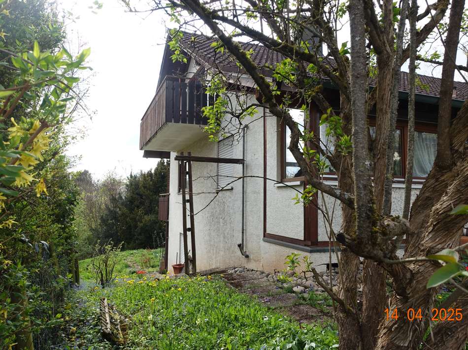 Seitlicher Blick auf Haus und 