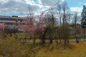 Vorstadt Idylle – Truderinger Straße 346, 81825 Gartenstadt Trudering, München – Vorschaubild 11