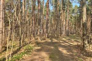 Sommerhaus am See - 60 Minuten von Berlin – Teltow-Fläming (Kreis) – Vorschaubild 15