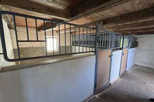 Tierliebhaber aufgepasst ! – Die vollständige Adresse der Immobilie erhältst du vom Anbieter., 59505 Bad Sassendorf – Vorschaubild 22