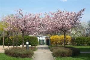 Property thumbnail 7