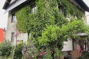 Seminarhaus mit traumhaften Belchenblick: 2-Familienhaus mit grossem Garten in Elbenschwand – Elbenschwander Ortsstraße 9, 79692 Lörrach (Kreis) – Vorschaubild 78