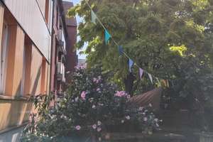 Vollständig renovierte 3-Zimmer-Wohnung in Hannover Linden Süd – Charlottenstrasse 59, 30449 Linden-Süd, Hannover – Vorschaubild 5