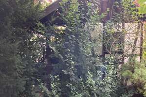 Schöne 3-Zimmer-Wohnung mit Garten, Gartenhaus , Terasse, Garage, Stellplatz und EBK in Stuttgart – Berglenstraße 14, 70188 Gaisburg, Stuttgart – Vorschaubild 12