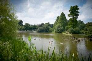 Property thumbnail 13