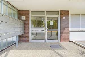 Provisionsfreie 3-Zimmer-Wohnung direkt am Vorgebirgspark
- mit Hervorragender Raumaufteilung - – Die vollständige Adresse der Immobilie erhältst du vom Anbieter., 50969 Zollstock, Köln – Vorschaubild 2