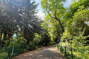 5-Zimmer, Altbau, 2 Balkone, 2 Bäder, direkt am Volkspark Hasenheide – Karlsgartenstraße 12, 12049 Neukölln (Ortsteil), Berlin – Vorschaubild 31