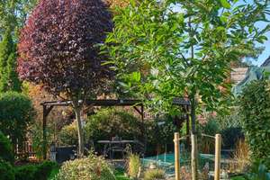 Property thumbnail 30