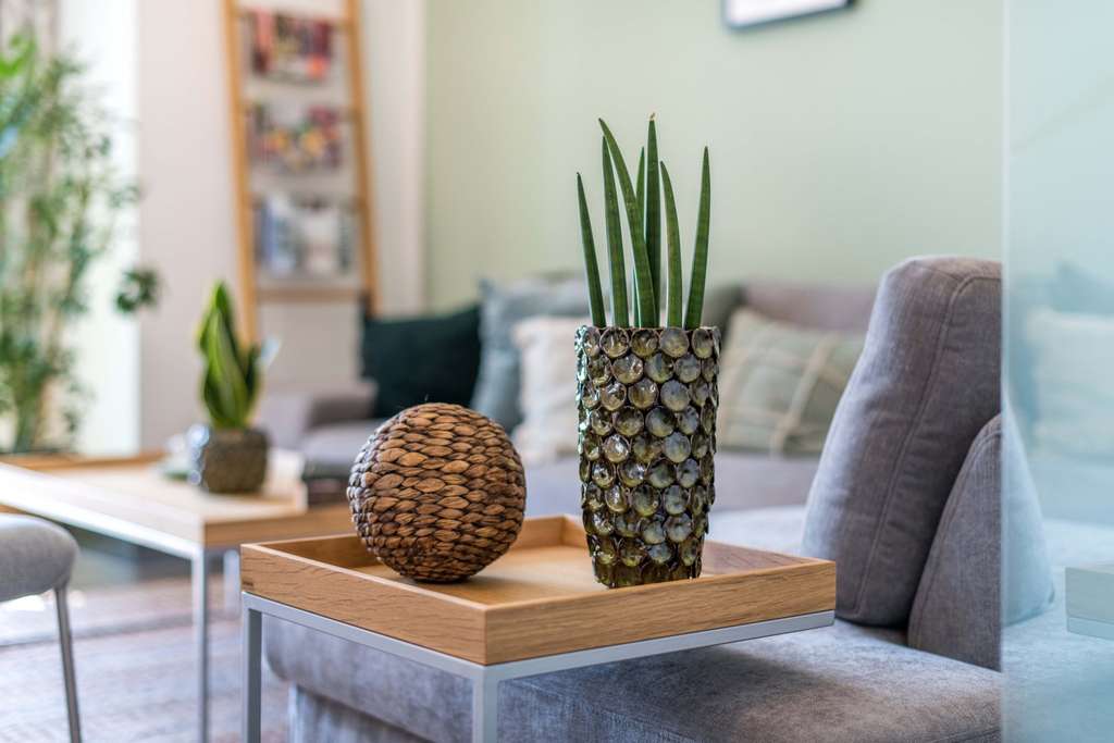 Immobilie in Jessen (Elster) - Ihr neues Zuhause mit eigenem Grundstück - Bild 4