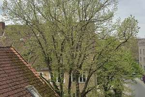 HANNOVER-ZENTRUM: NEU SANIERTE 3-Zimmer-Wohnung im 3.OG mit BALKON, NÄHE AEGI+MASCHSEE – Senior-Blumenberg-Gang 2, 30159 Mitte (Ortsteil), Hannover – Vorschaubild 4