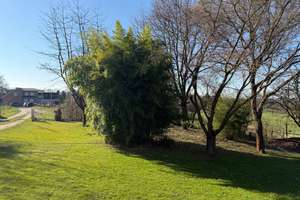 Traumhaus mit Weitblick: Großzügiges EFH mit Doppelgarage & großem Garten in Leverkusen-Kursiefen – Kursiefer Weg 1 E, 51375 Schlebusch, Leverkusen – Vorschaubild 25