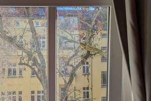 Property thumbnail 11