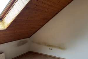 BONN-BEUEL, charmante DHH, Bj. 89 in top Lage, 5-6 Zi., ca. 125 m²  Wfl., Garage, ca. 285 m² GrSt. – Die vollständige Adresse der Immobilie erhältst du vom Anbieter., 53229 Vilich-Müldorf, Bonn – Vorschaubild 26
