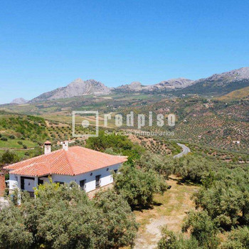 SPEKTAKULÄRE LÄNDLICHE FINCA VON 25.000 M² MIT HAUS, POOL, OLIVENANBAU, WENIGE MINUTEN VON COLMENAR,