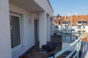 Penthouse | Renoviert | 2-Zimmer | Dachterrasse | Aufzug | TG-Platz – Die vollständige Adresse der Immobilie erhältst du vom Anbieter., 75172 Weststadt, Pforzheim – Vorschaubild 4