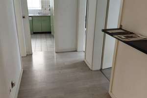 Erdgeschosswohnung mit Terrasse, Garten und Souterrainbereich in ruhiger Lage in HD-Handschuhsheim – 69121 Handschuhsheim, Heidelberg – Vorschaubild 9