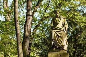 Property thumbnail 30