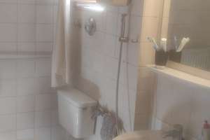 Möblierte Wohnung Neckarstadt Mannheim  – Alphornstraße 34, 68169 Neckarstadt-West, Mannheim – Vorschaubild 9