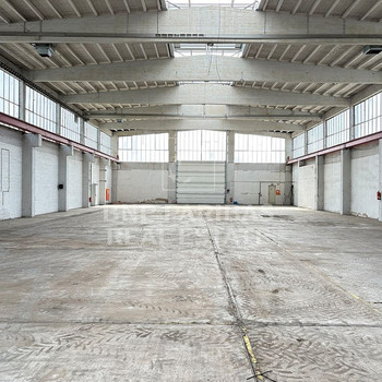 HALLENFLÄCHE | PRODUKTION | LAGER | EBENERDIG | LICHTDURCHFLUTET