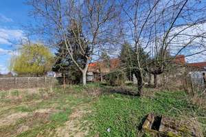 Willkommen in Mosigkau – Anhalter Straße 32, 6847 Mosigkau, Dessau-Roßlau – Vorschaubild 28