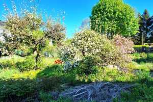 Property thumbnail 24