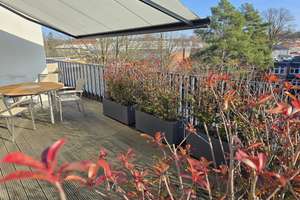 Property thumbnail 14