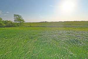 Wohnhaus für Naturliebhaber in Alleinlage! – Nordfriesland (Kreis) – Vorschaubild 22
