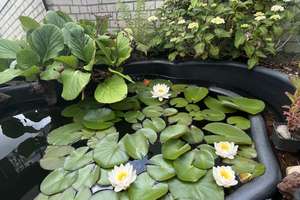 Reserviert- TOP Lage - Saniertes Schmuckstück - mit außergewöhnlichem Garten – Die vollständige Adresse der Immobilie erhältst du vom Anbieter., 45219 Kettwig, Essen – Vorschaubild 13